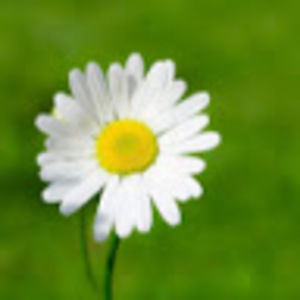 Meet your Posher, Ainsley